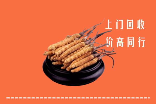 附近收购：大同市冬虫夏草回收多少钱每克