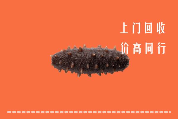 大同市回收海参