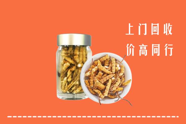 大同市回收冬虫夏草